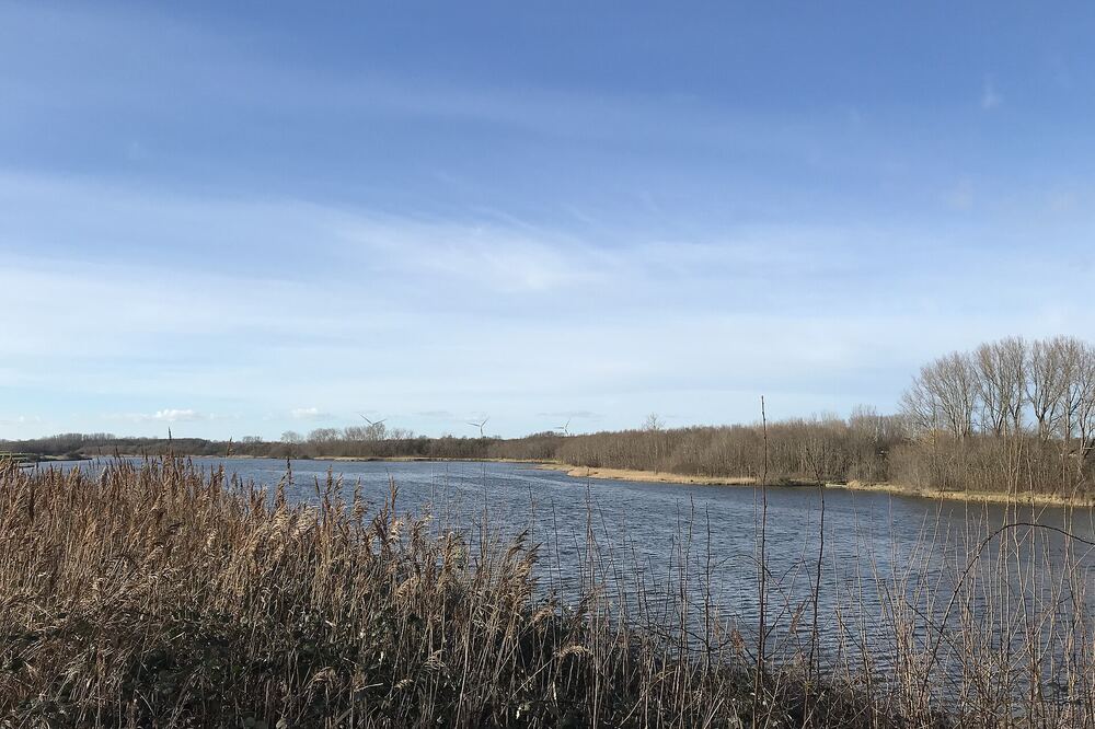 Water en riet in het krekengebied bij Ouwerkerk aan de Oosterschelde